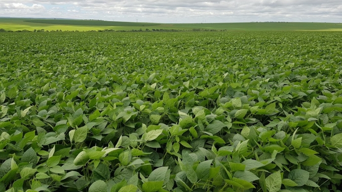 CNA debate agricultura sustentável no Fórum Público da OMC
