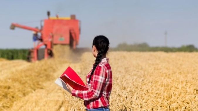 Nos últimos três anos, o agro (agropecuária e agroindústria), no Brasil, gerou 359,6 mil empregos formais, segundo estudo do FGVAgro