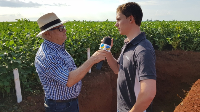 Produtores olham para o solo em busca de proteção contra veranico