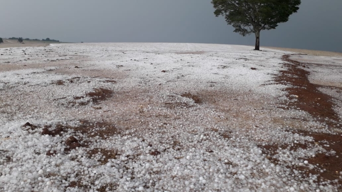 Cidades produtoras de café de Minas Gerais registram chuva de granizo; veja fotos e vídeo