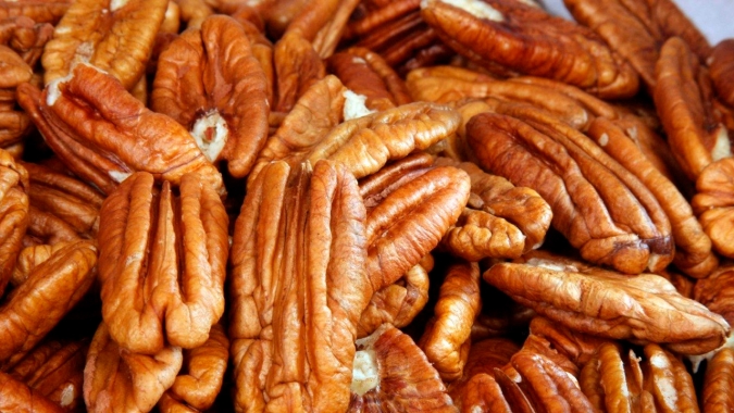 IBPecan leva produtos e agenda sobre noz-pecã à Expointer 2026