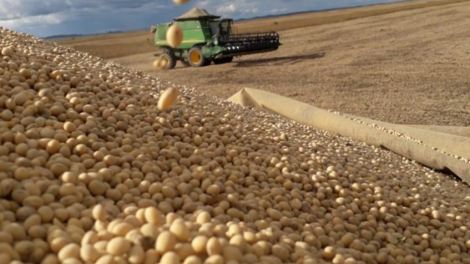 Colheita de soja no Paraná avança para 36%; plantio de milho 2ª safra chega a 43%