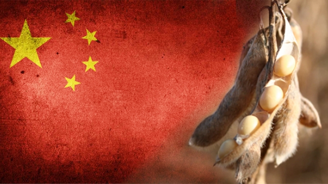 China faz nova compra de soja 2021/22 nos EUA nesta 6ª feira