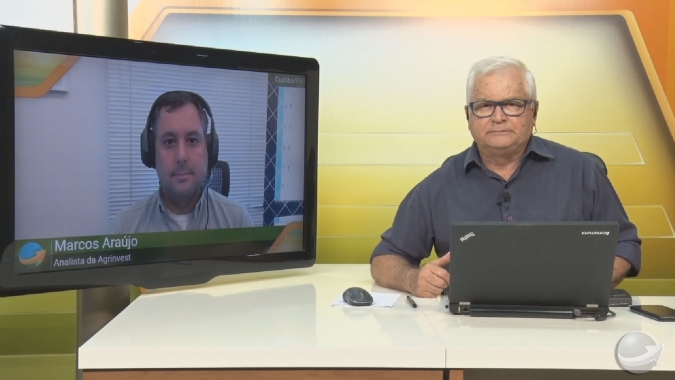 Milho aponta para preço de R$ 52/saca na virada do ano com a crise argentina