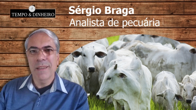 Sérgio Braga: Boi não para de subir nem com entrada de animais de confinamento