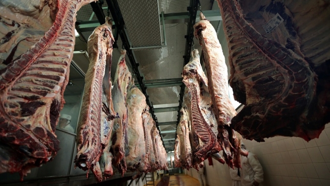 Datagro: Nível de abates de bovinos da Argentina renova máximas novamente em abril