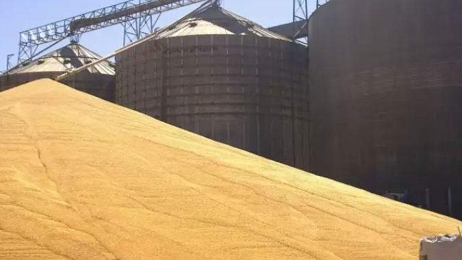 USDA traz estoques trimestrais de milho dos EUA bem abaixo das expectativas