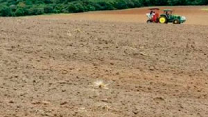 Projeto proíbe a desapropriação de terras produtivas para fins de reforma agrária