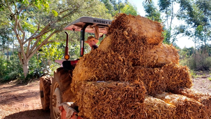 Agro-comunicador usa a mídia social e tem 240 mil seguidores. Conheça a história de Giovani Weber e a defesa dos fumicultores