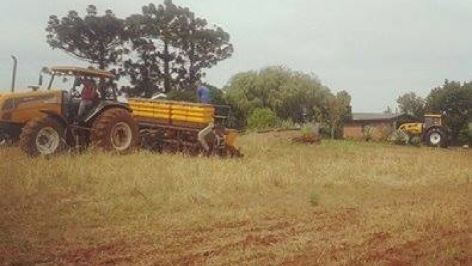 Plantio milho vai à 58% no Paraná, mas chuvas atrapalham atividades, aponta Deral