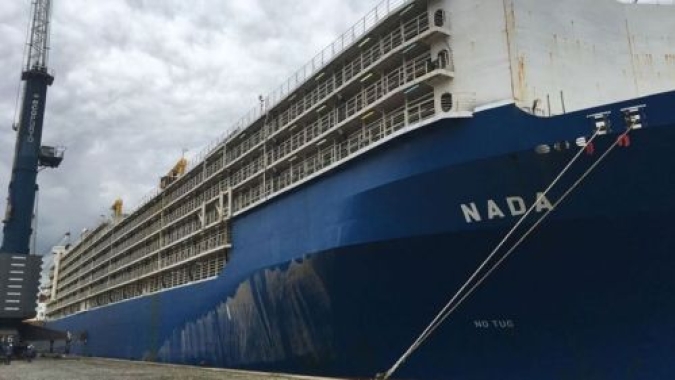 Porto & Mar 2021: Cecafé debate desafios operacionais no Porto de Santos