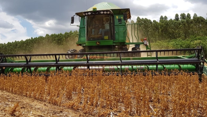 Rio Grande do Sul produziu 9,3 milhões de toneladas de soja a menos do que o esperado e deixou de acumular até R$ 13 bilhões