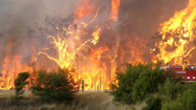 Medida provisória destina R$ 938 milhões para ações de combate à seca e a incêndios florestais