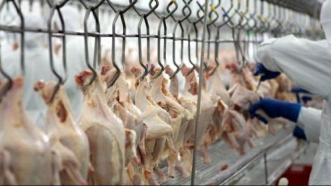 Conbrasfran 2024 debate monitoramento sanitário, estratégias para redução de condenas e programas de qualidade em plantas de abate com Embrapa, Cobb, Seara e Aurora Coop