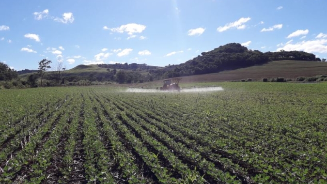 Justiça dos EUA condena Bayer e Basf a indenizar produtor por deriva de herbicida