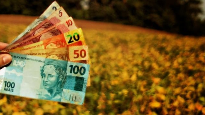 Seguro Rural: Comissão de Agricultura do Senado debate modernização do programa