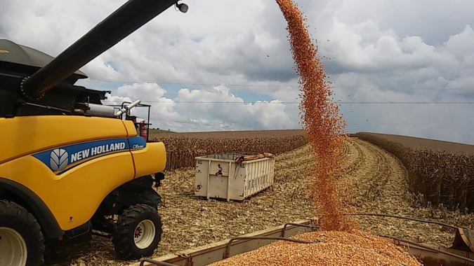 Insistir em métodos de produção pouco eficientes é perverso com os mais carentes, por Prof. Aluizio Borem