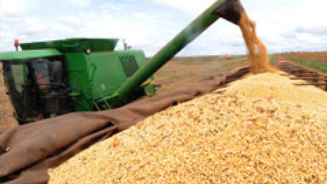 Colheita de soja chega a 23% no Brasil com torcida por chuva no RS, diz AgRural