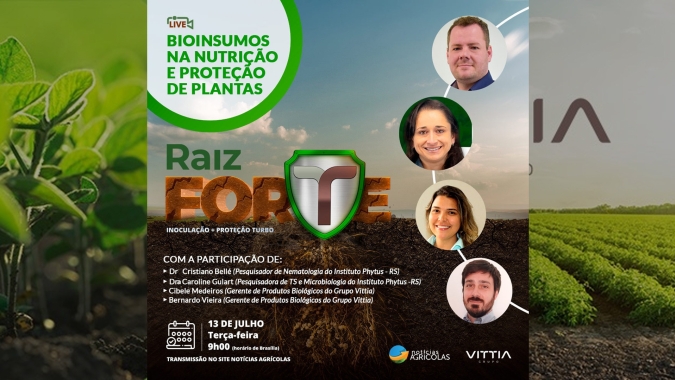 A importância de um bom enraizamento nas plantas e como proteger e potencializar o crescimento das raízes com bioinsumos