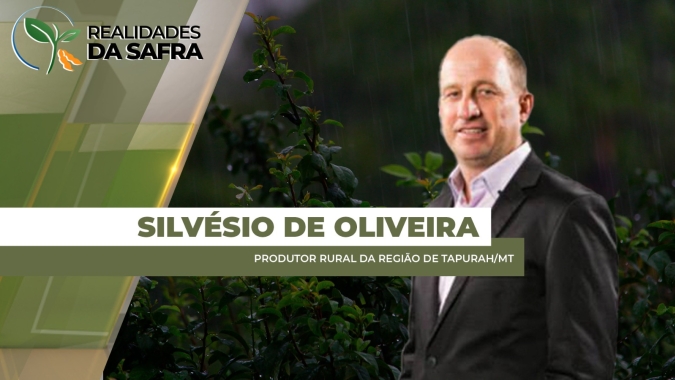 Chuva irregular afeta o desenvolvimento da soja em Tapurah/MT