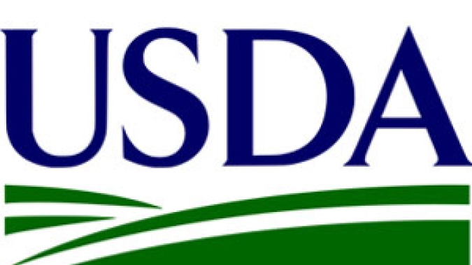 Soja e Milho: USDA deve trazer aumento de produção, produtividade e estoques nos EUA