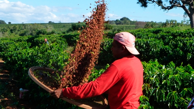Nespresso desenvolve ações para proteger trabalhadores durante a colheita