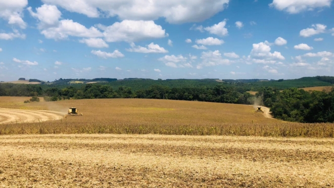 Colheita da soja atinge 80% da área no RS