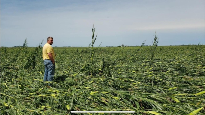 Tempestade severa castiga o Corn Belt e ARC Mercosul estima perdas de 700 mil a 1,2 mi de t  no milho