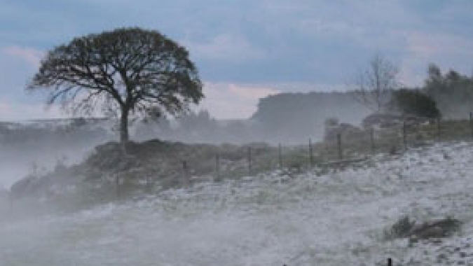 Monitoramento do frio da Epagri/Ciram oferece novas informações para apoiar fruticultura de clima temperado em SC