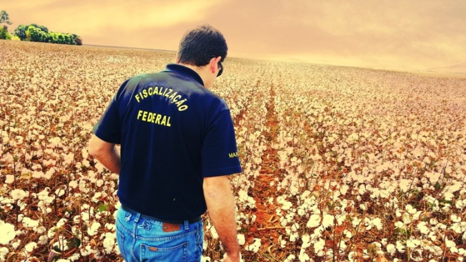 Nova lei substitui fiscalização agropecuária por autocontrole dos produtores