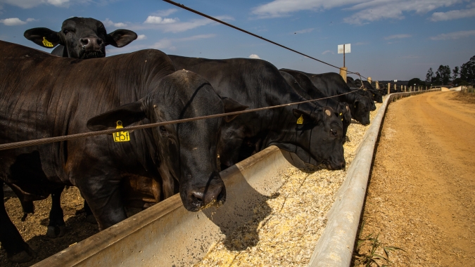 Minerva Foods exporta lote de carne certificada Carbono Neutro aos Emirados Árabes Unidos