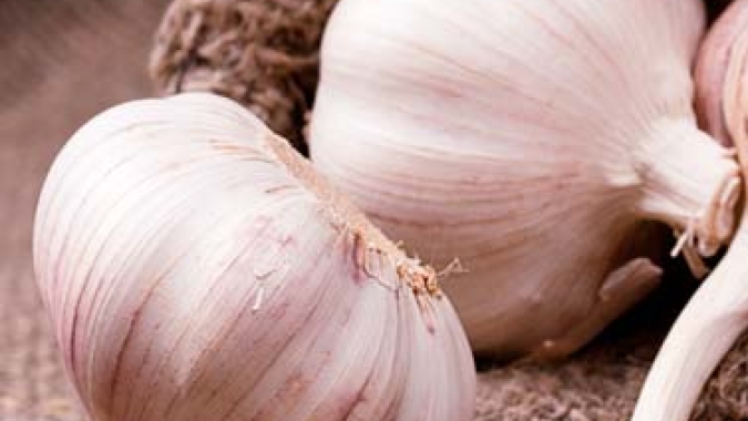 Santa Catarina é o terceiro maior produtor de alho do país