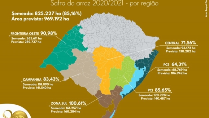 RS atinge 85% do previsto para semeadura de arroz