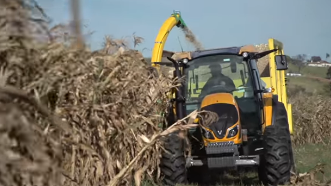 Ministério da Agricultura aponta colheita do milho em 88% na Argentina, entrando em linha com safra passada
