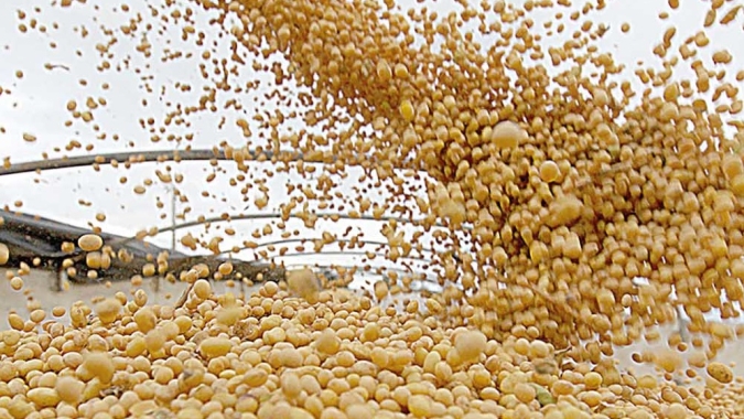 Safra de soja do Brasil deve somar 124,3 mi t em 2019/20, prevê Agroconsult