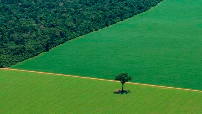 Reuters: Agronegócio do Brasil reage à lei da UE sobre desmatamento e contesta termos