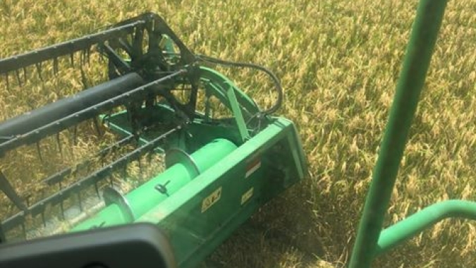 FEDERARROZ: Abertura Oficial da Colheita do Arroz contará com presença do vice-presidente