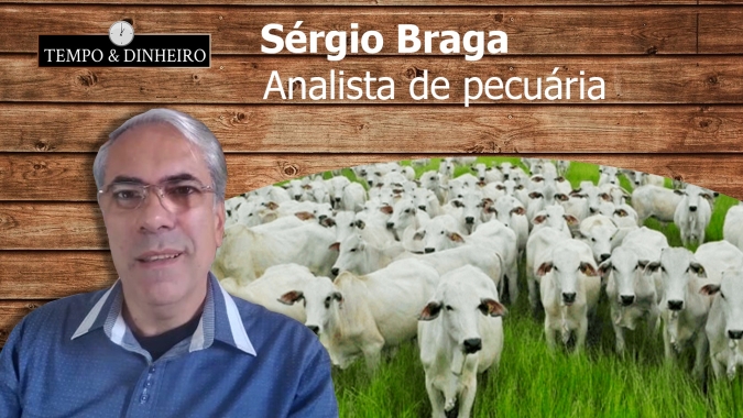 Sérgio Braga: Boi volta subir após queda de braço entre frigoríficos e pecuaristas