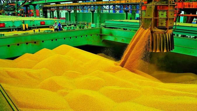 Brasil deve exportar até 15,5 mi t de soja em março, prevê Anec