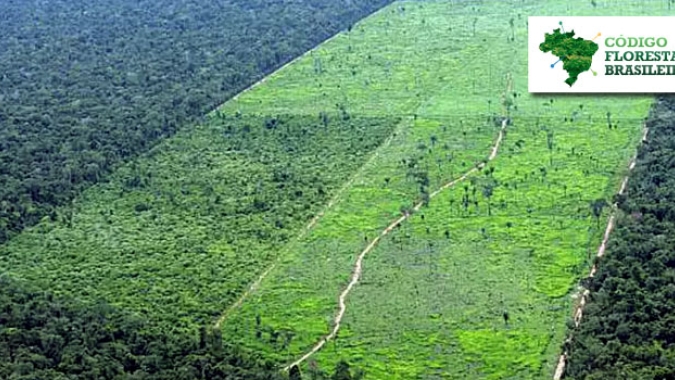 “Somos defensores do meio ambiente”, diz Zé Silva na COP-26