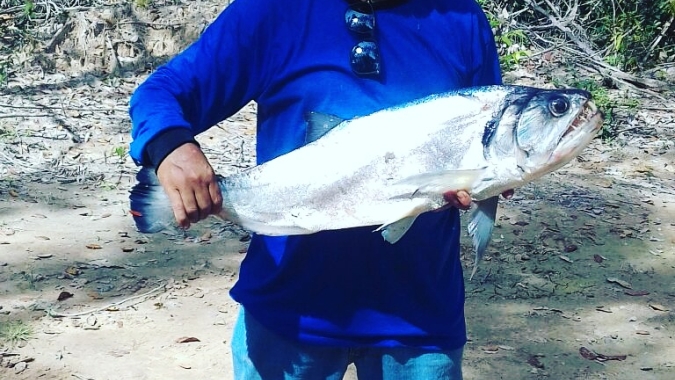 Pesca: SC terá linha de financiamento a maricultores e pescadores artesanais
