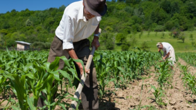 CNA debate aspectos práticos da aposentadoria rural para empreendedores familiares