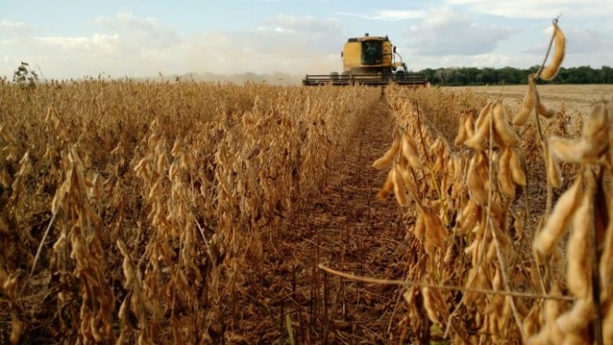 Colheita de soja atinge 90% das áreas no Paraná, plantio de milho quase encerrado