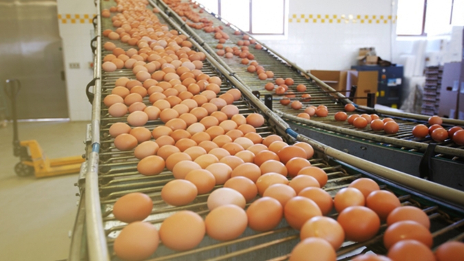 Mesmo com controle na produção, enfraquecimento na ponta vendedora pressiona mercado de ovos