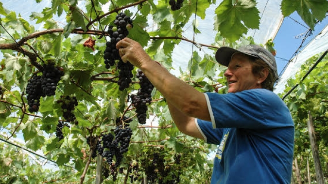 Circuito das Frutas participa do 2º Fórum de Turismo de Vinhedo
