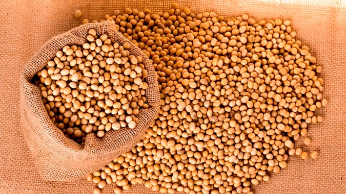 Abiove mantém exportação de soja do Brasil no ano e vê melhora no fluxo após atraso