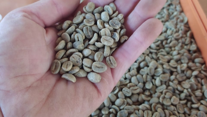 Especialíssimo da Cooxupé recebe cafés especiais desta safra
