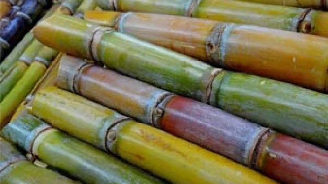 Mercado do açúcar recua nas bolsas de Nova York e Londres nesta nesta manhã de 6ª feira