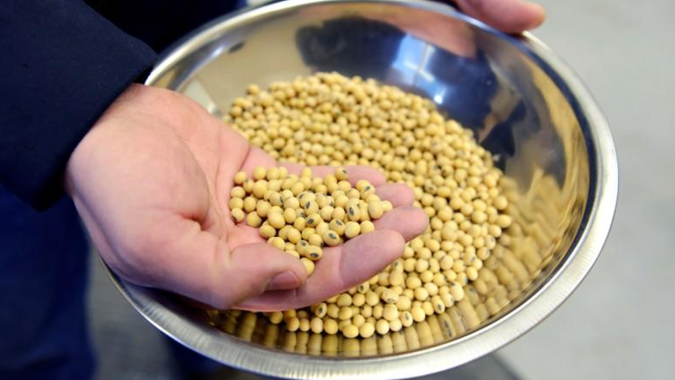 EUA contam com avanço rápido da comercialização da soja brasileira para retomada da alta em Chicago