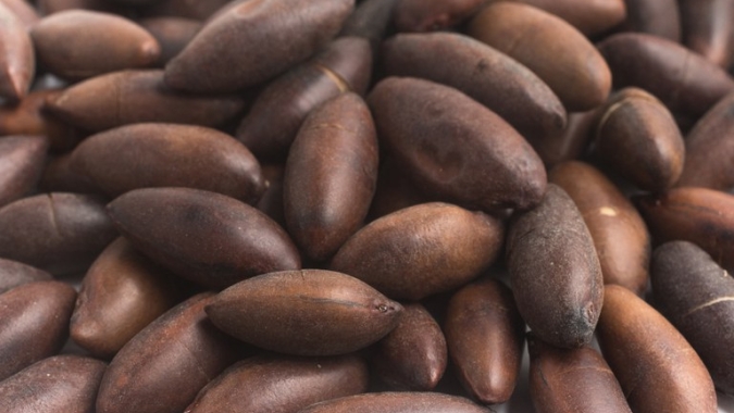 Brasil alcança abertura de 60 mercados para produtos agropecuários